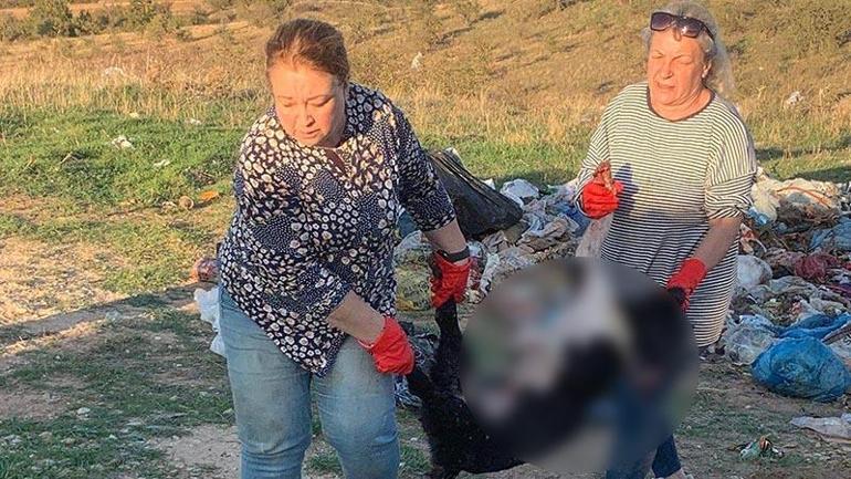 Kırklarelinde barınakta 17 kedi ve köpek öldü; adli, idari soruşturma başlatıldı