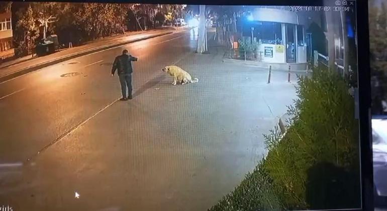 Bahçelievlerde tabanca ile köpeği korkutmaya çalışan bir kişi gözaltına alındı