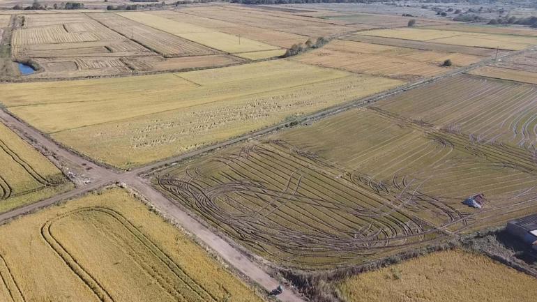 TZOB Genel Başkanı Bayraktar: Bigada 45 bin dekar alanda zarar görünüyor