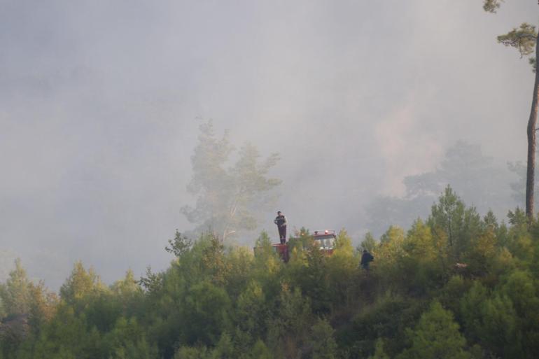 Muğlanın Menteşe ilçesinde orman yangınına müdahale sürüyor