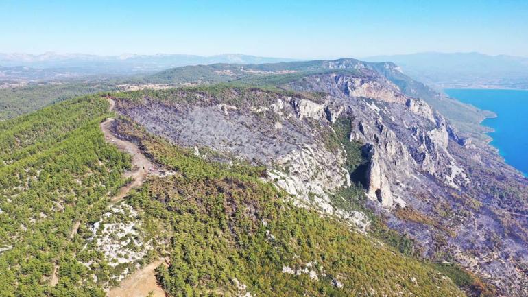 Muğladaki orman yangını 4üncü gününde