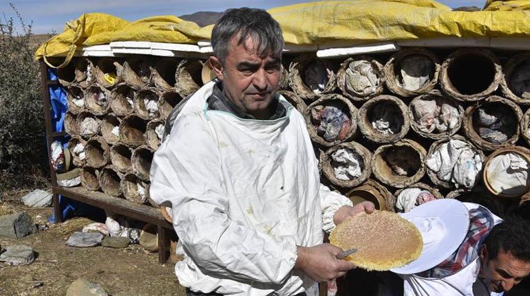 Bitlis’te kara kovan balının hasadı başladı