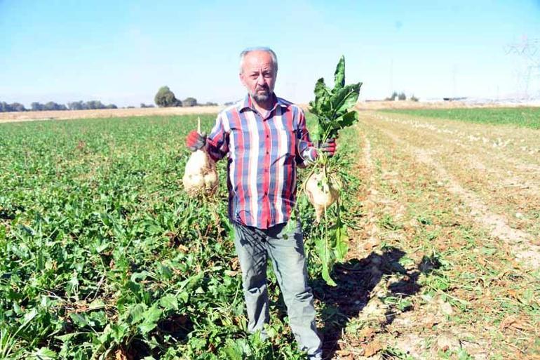 Çiftçi sulama yöntemini değiştirdi, şeker pancarında rekolte arttı