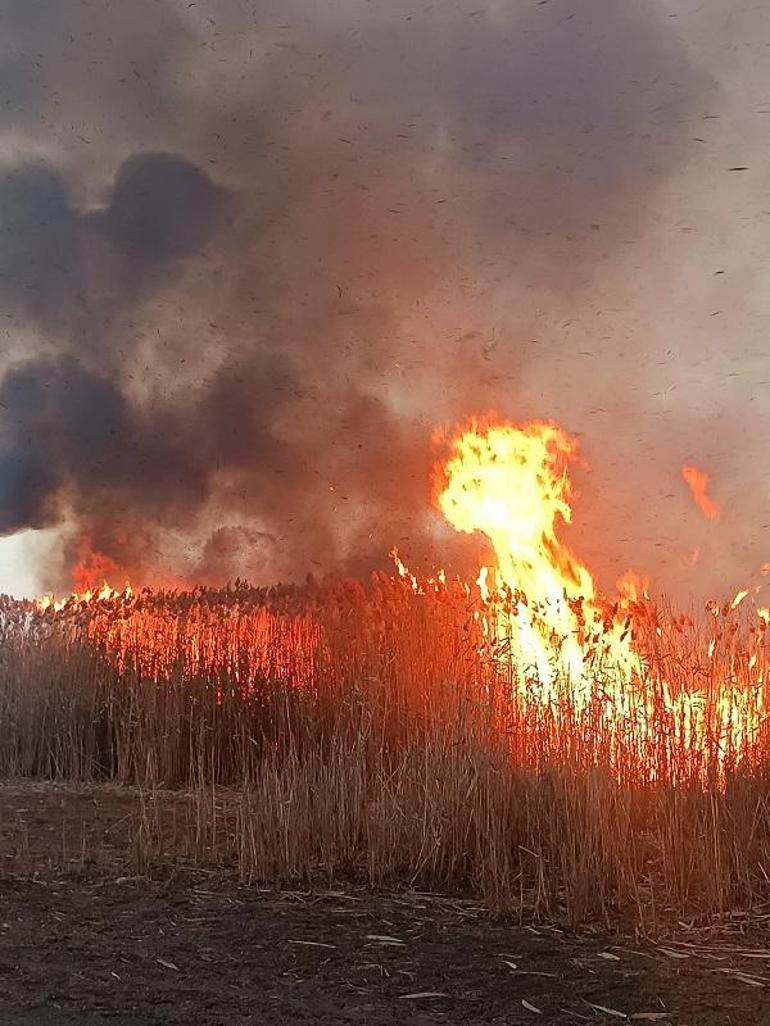 Eber Gölündeki sazlık yangınına havadan müdahale