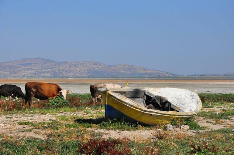 Marmara Gölündeki tarımsal üretim ile ilgili davada karar duruşması