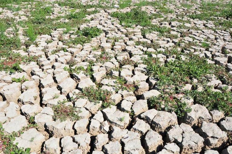 Marmara Gölündeki tarımsal üretim ile ilgili davada karar duruşması