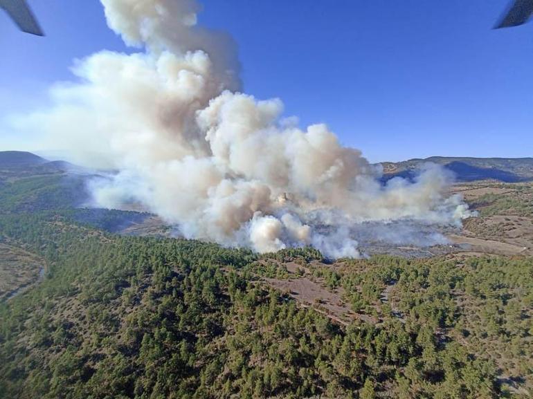 Bursadaki orman yangını Balıkesir’e sıçradı