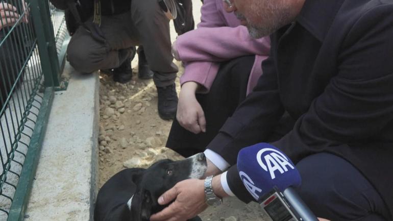 Tarım ve Orman Bakanı Yumaklı, Zeytin isimli köpeği sahiplendi