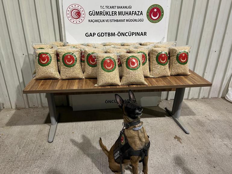 Öncüpınarda 1 milyon 380 bin uyuşturucu hap ele geçirildi