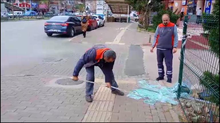 Bursada lodos yaşamı olumsuz etkiledi