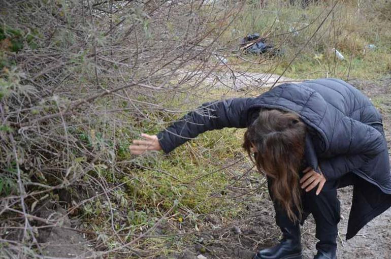 Öldürülen köpeğin bir yavrusu daha sağ bulundu