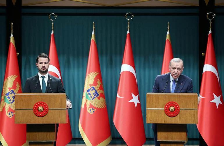 Cumhurbaşkanı Erdoğan: Bölgemizdeki yangının söndürülmesi için üzerimize düşen ne varsa yapmaya hazırız