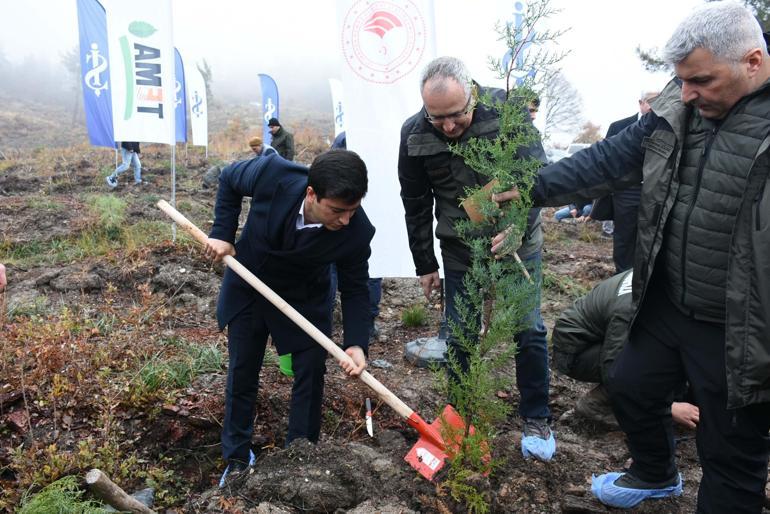 81 İlde 81 Orman projesi Balıkesirde