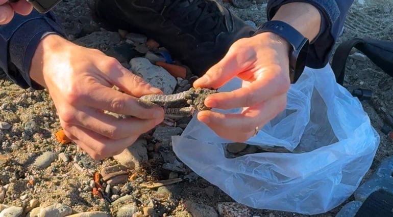 Denizde dedektörle altın arayan şüpheli, gözaltına alındı