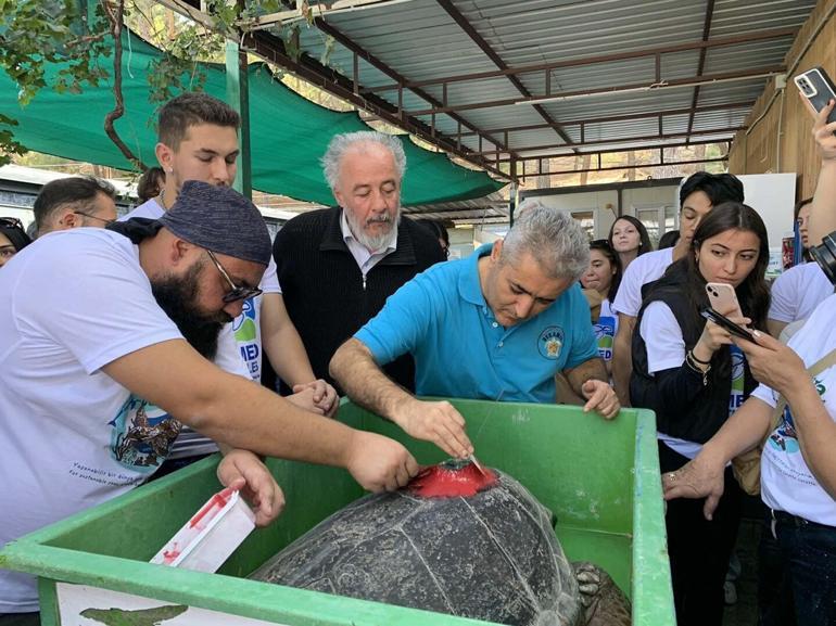 Caretta caretta Cumhuriyeti 2 ayda 2 bin kişi izledi