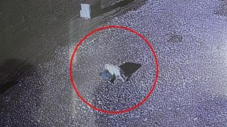 Sokak köpeğinin saldırısına uğrayan 5 yaşındaki çocuk, yaralandı