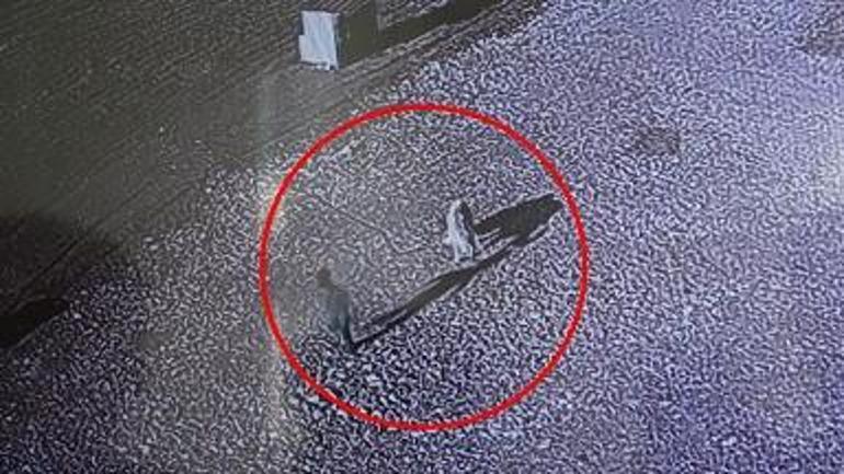 Sokak köpeğinin saldırısına uğrayan 5 yaşındaki çocuk, yaralandı