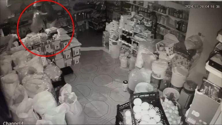 Diyarbakır’da hırsızlık şüphelilerine ‘Gölge’ operasyonu: 9 tutuklama