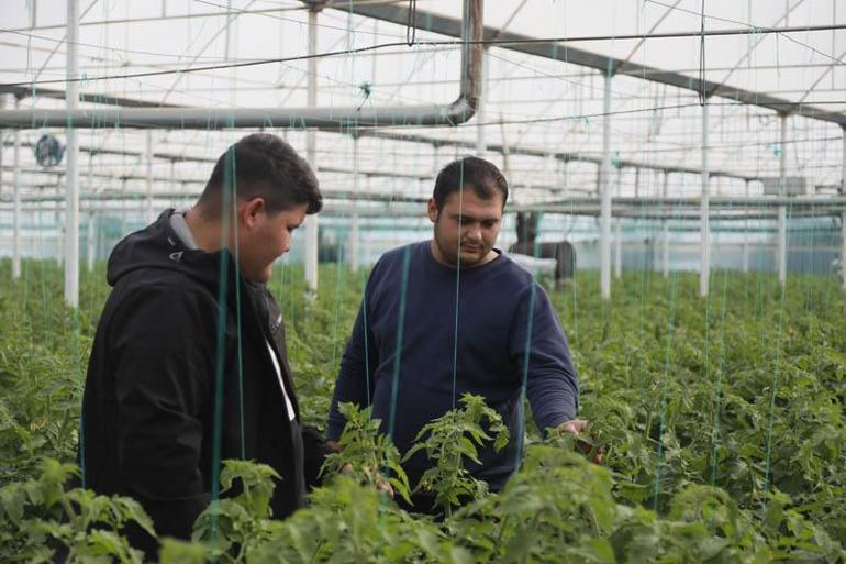 Suriyeli işçiler ülkelerine dönmekte kararlı, Antalyalı üretici düşünceli