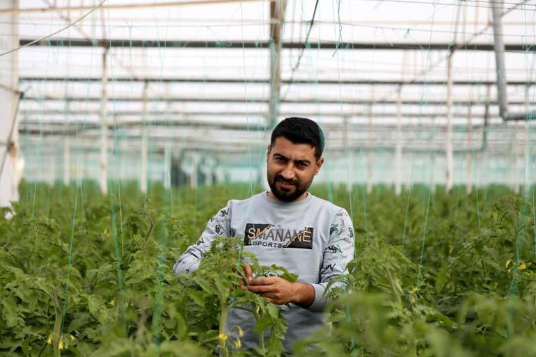 Suriyeli işçiler ülkelerine dönmekte kararlı, Antalyalı üretici düşünceli