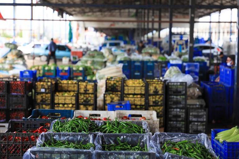 Suriyeli işçiler ülkelerine dönmekte kararlı, Antalyalı üretici düşünceli