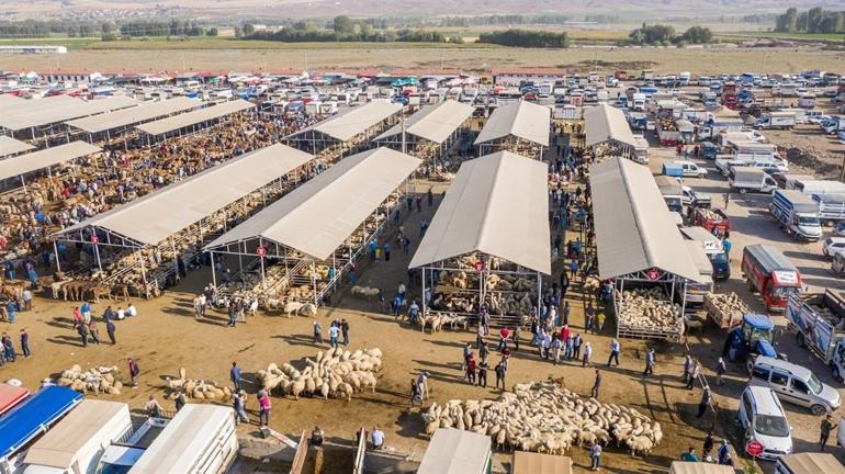 Türkiyenin en büyük hayvan pazarı şap nedeniyle kapatıldı