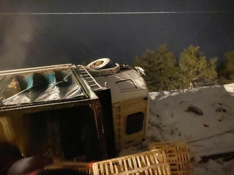 Boluda canlı tavuk yüklü kamyon devrildi; sürücü yaralandı, yüzlerce hayvan öldü