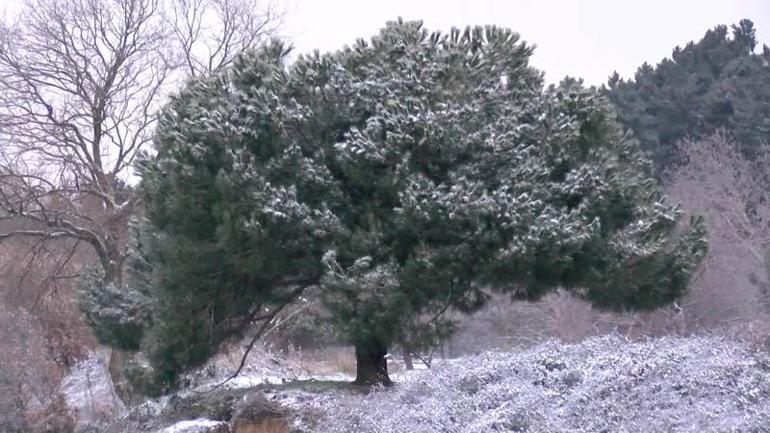 Kartal Aydosta çatılar beyaza büründü