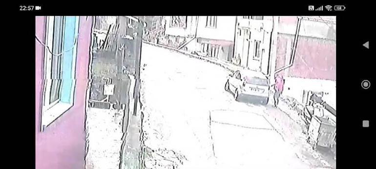 Çöp konteynerinin yanına bırakılan yavru köpeği sahiplendiler