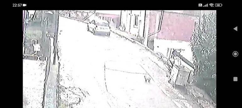 Çöp konteynerinin yanına bırakılan yavru köpeği sahiplendiler