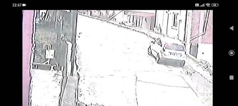 Çöp konteynerinin yanına bırakılan yavru köpeği sahiplendiler