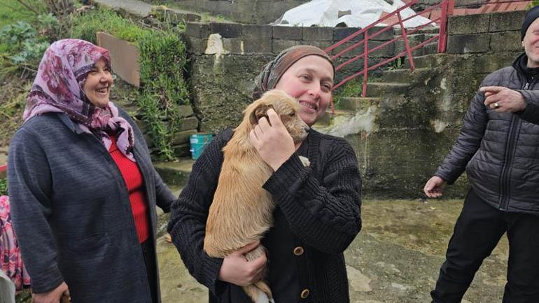 Çöp konteynerinin yanına bırakılan yavru köpeği sahiplendiler