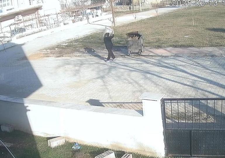Ayaklarını bağladığı köpeği çöp konteynerine attı; o anlar kamerada