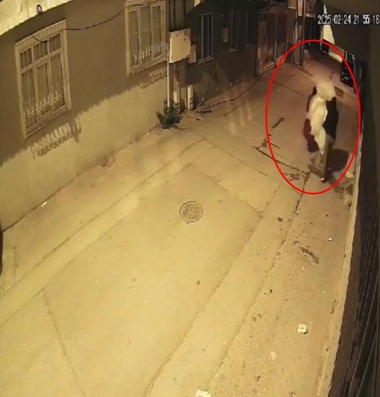 Bursada perde ve battaniye hırsızlığı kamerada