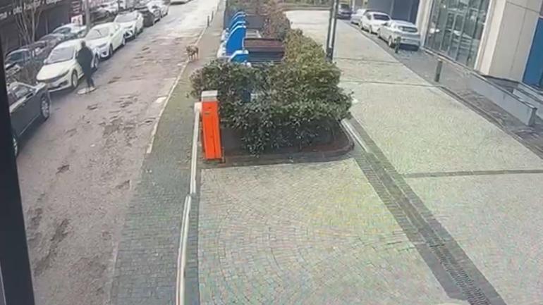 Ataşehir’de cinsel saldırı şüphelisi yakalandı