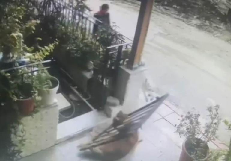 Köpek, başının sıkıştığı demir kapıyı yerinden söktü