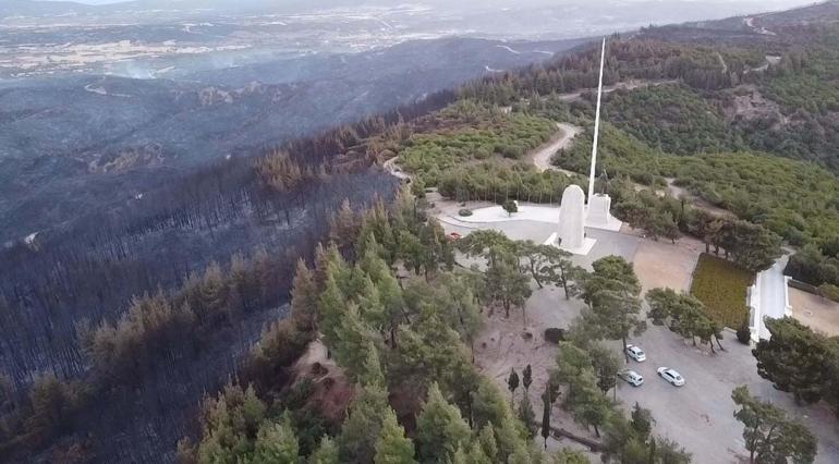 Gelibolu Yarımadasında çıkan yangının ekosisteme verdiği zarar araştırılacak