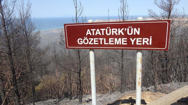 Gelibolu Yarımadasında çıkan yangının ekosisteme verdiği zarar araştırılacak