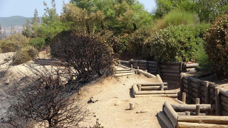 Gelibolu Yarımadasında çıkan yangının ekosisteme verdiği zarar araştırılacak