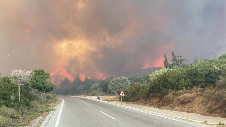 Gelibolu Yarımadasında çıkan yangının ekosisteme verdiği zarar araştırılacak