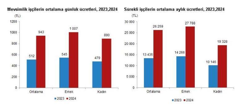 TÜİK: Mevsimlik tarım işçilerinin ortalama günlük ücretleri yüzde 84,2 arttı