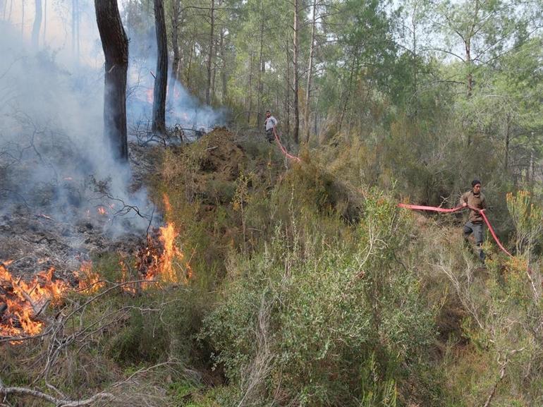 Antalyada orman yangını kontrol altında