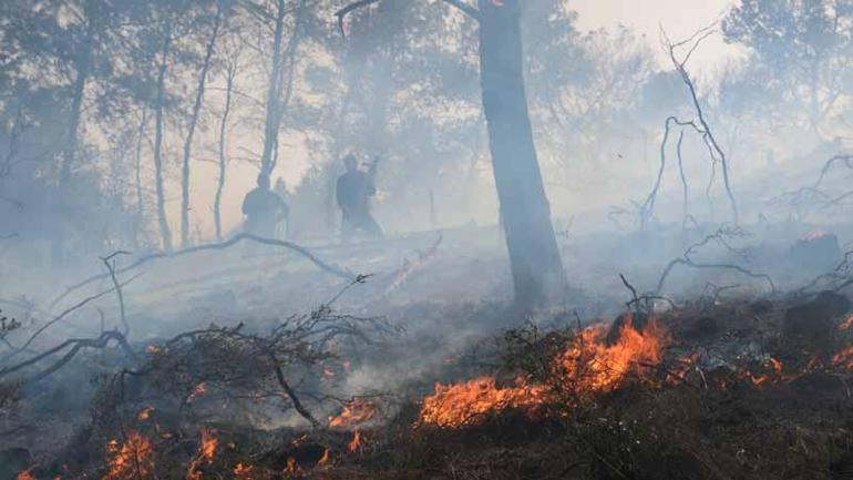 Antalyada orman yangını kontrol altında
