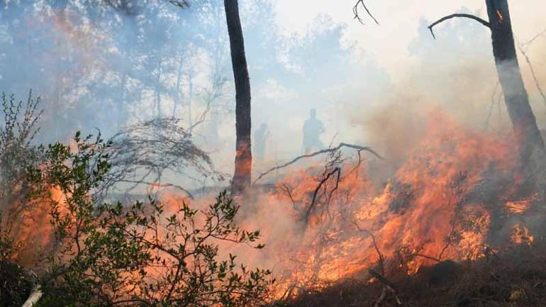 Antalyada orman yangını kontrol altında