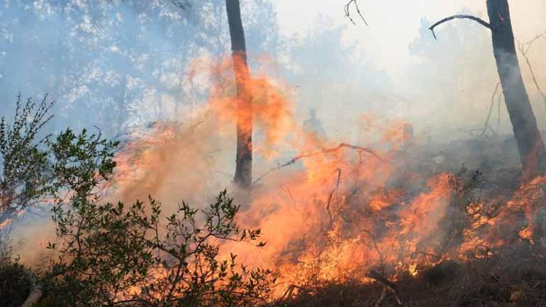 Antalyada orman yangını kontrol altında