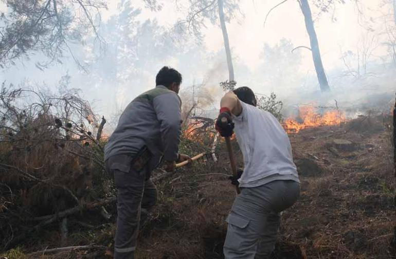 Antalyada orman yangını kontrol altında