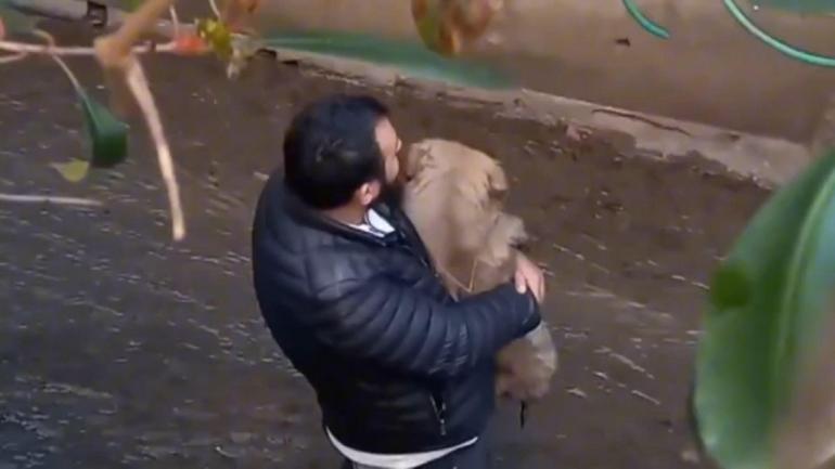 Ataşehir’de köpeğini kurtarmak isterken derede mahsur kaldı
