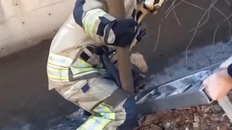 Ataşehir’de köpeğini kurtarmak isterken derede mahsur kaldı