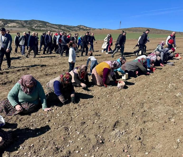 Bakan Yumaklı, Kastamonuda sarımsak ekimine katıldı