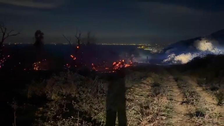Yalovada orman yangını 2 saatte söndürüldü